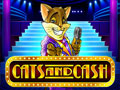 Cats And Cash Play'n Go Game