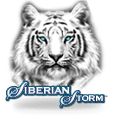 Siberian Storm Slot Game Siberian Storm Slot Game