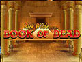 Rick Wilde Book Of Dead Play'n Go Game