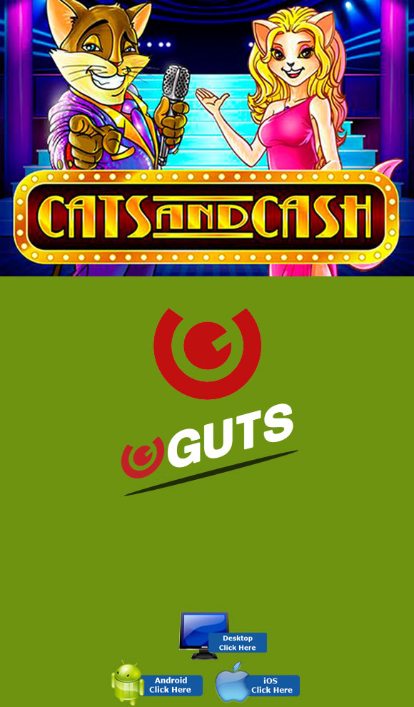 Play n Go Casino Games - Play Cats And Cash At Guts Casino