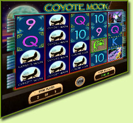 IGT Coyote Moon Slot Game Screenshot