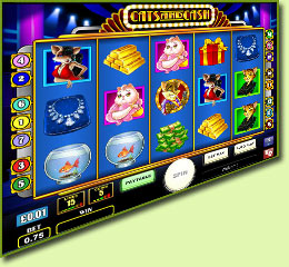Play n Go Cats And Cash Slot Game Screenshot