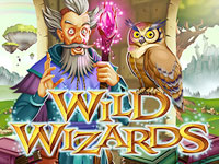 Wild Wizards